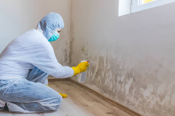 Hvac And Air Duct Mold Remediation inspection of HVAC system in Beccaria
