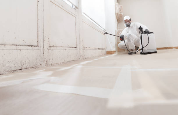 Black mold remediation team in Beccaria